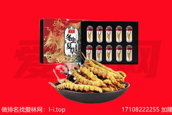 台山市回收虫草.jpg